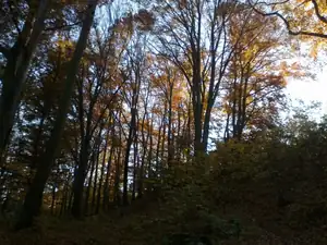 sud — 24. října 2013