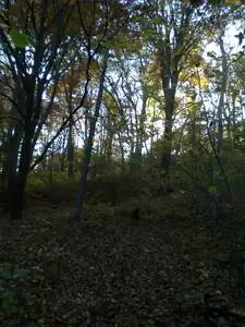 sud — 24. října 2013