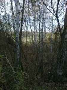 sud — 29. října 2013