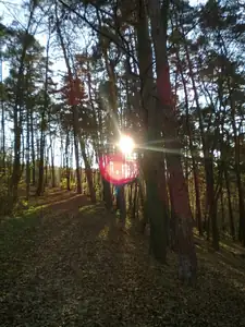sud — 29. října 2013