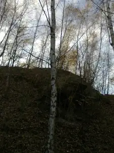 sud — 29. října 2013