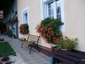 muškatek — 4. listopadu 2013