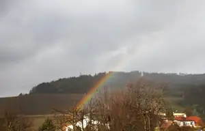 včerejší duha až k nám na zahradu...