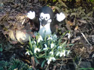 iris66 — 16. března 2011