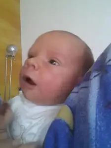 to jsem se vykulil