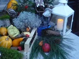 podvečer 19.11