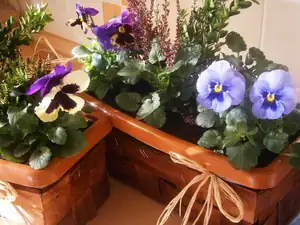 ...a konečně přišly na řadu podzimní truhlíky