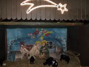 kůzlata byla živá