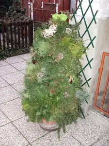 Stromek z chvojí