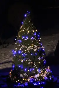 stromeček je nazdobený...advent je tady...