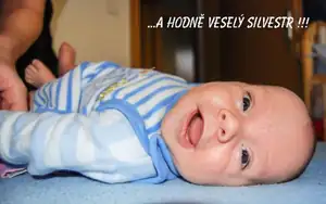 veselý silvestr