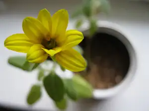 sud — 6. dubna 2011