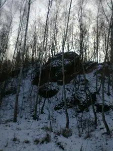 sud — 2. února 2014