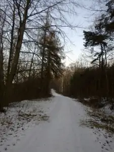 sud — 2. února 2014