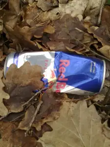 RedBul má křídla, doletěl až do lesa