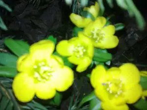 sud — 17. února 2014