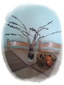 kočičky