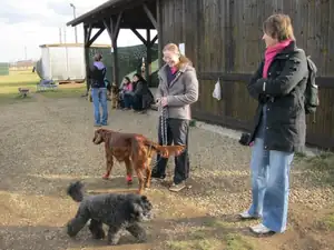 sud — 22. února 2014