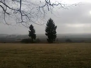 sud — 25. února 2014