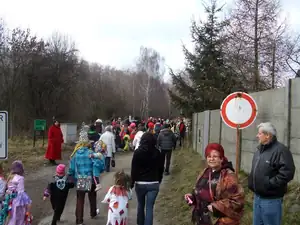 iris66 — 1. března 2014