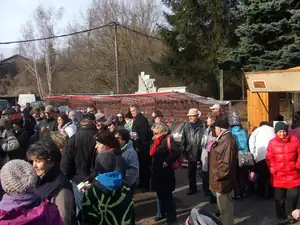 iris66 — 1. března 2014
