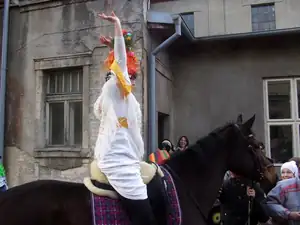 iris66 — 1. března 2014