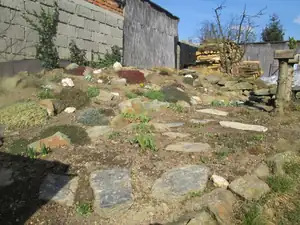 olgas — 8. března 2014