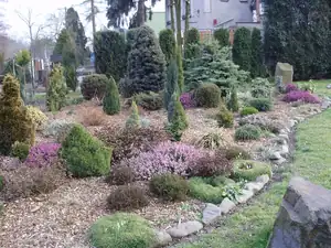 muškatek — 9. března 2014
