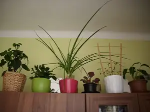 taky zákoutí