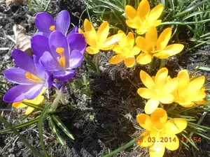 Maariee — 16. března 2014