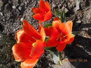 Maariee — 22. března 2014