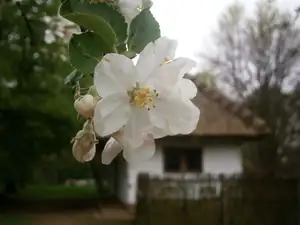 Magdalenka73 — 13. dubna 2014