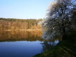 Magdalenka73 — 13. dubna 2014