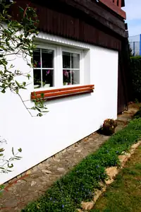 pod okny začíná kvést barvínek