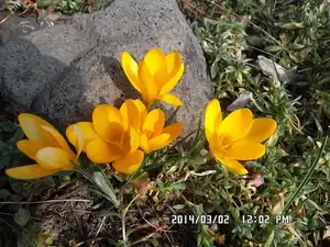 ludmila60 — 15. dubna 2014