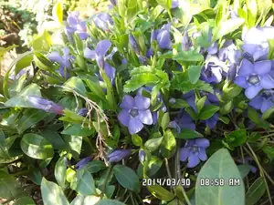 ludmila60 — 15. dubna 2014