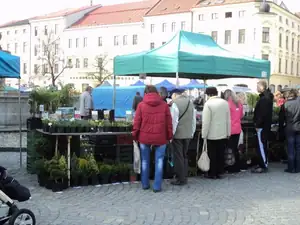 zhbobo — 18. dubna 2014