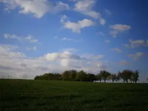 podvečer v polích