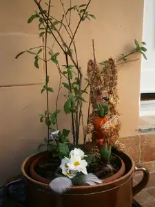 Magdalenka73 — 19. dubna 2014