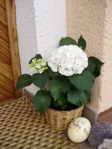Tu jsem dostala.