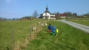 Ogárci idú zalévať na kapličku :)