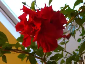 Roreka — 20. dubna 2011