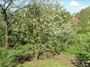 zhbobo — 5. května 2014