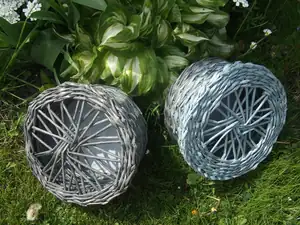 iris66 — 7. května 2014