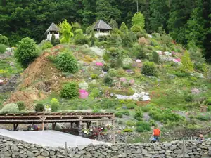Arboretum Makču Pikču