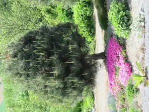 olgas — 13. května 2014