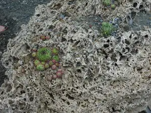 olgas — 13. května 2014