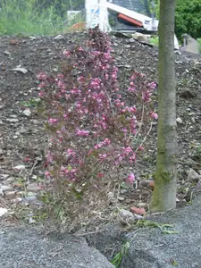 olgas — 13. května 2014
