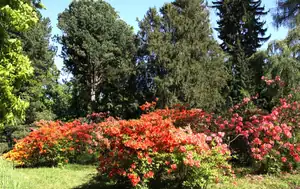 Lešná - zámecká zahrada