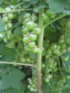 sud — 15. května 2014